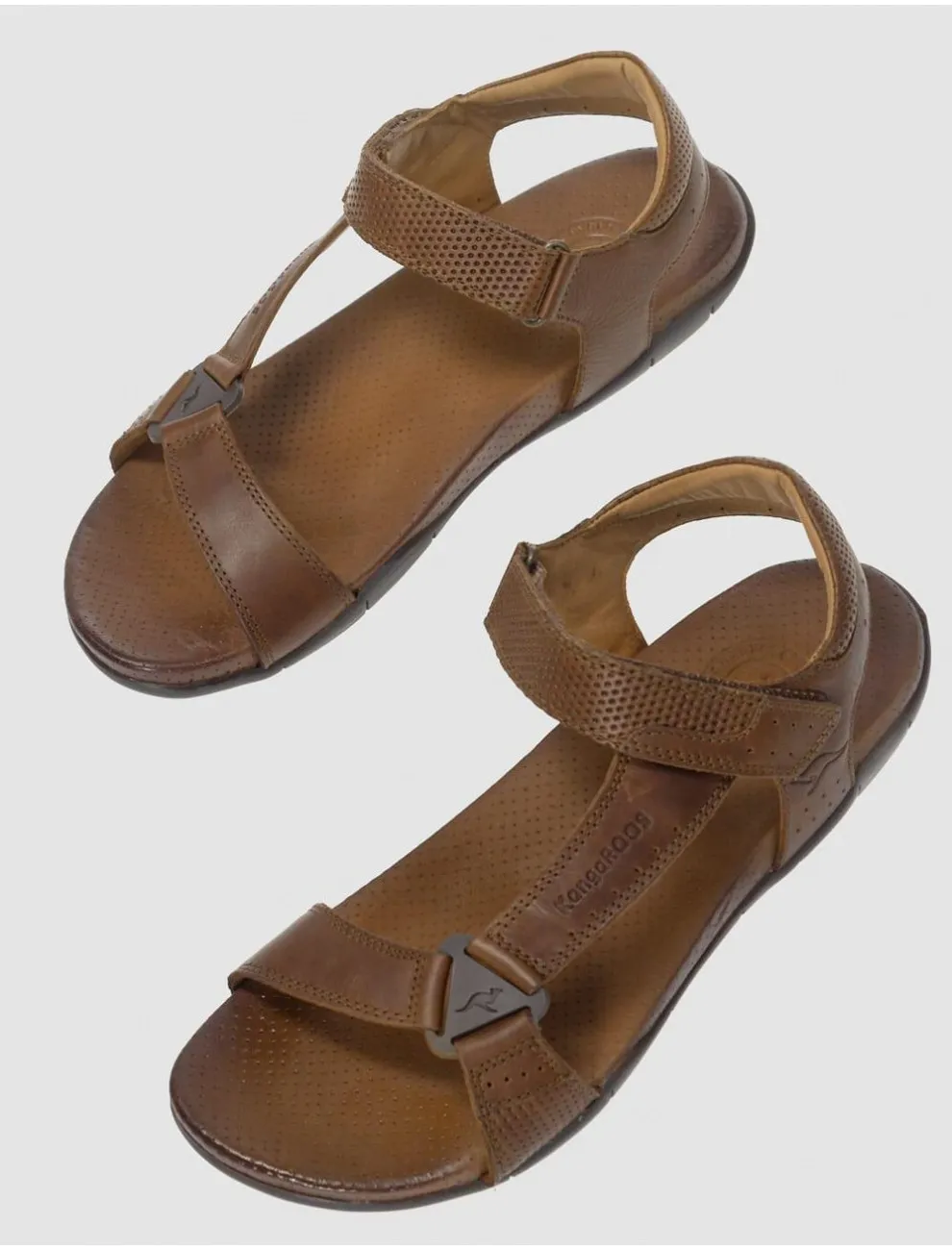 Californiana Kangaroos 329 Cuero
