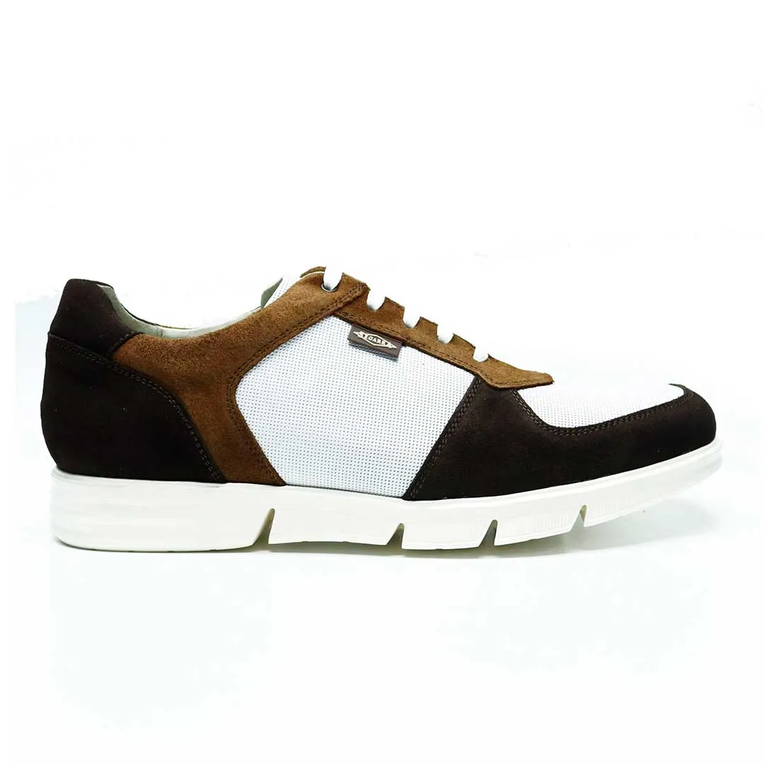 Harry Combi Testa (464)