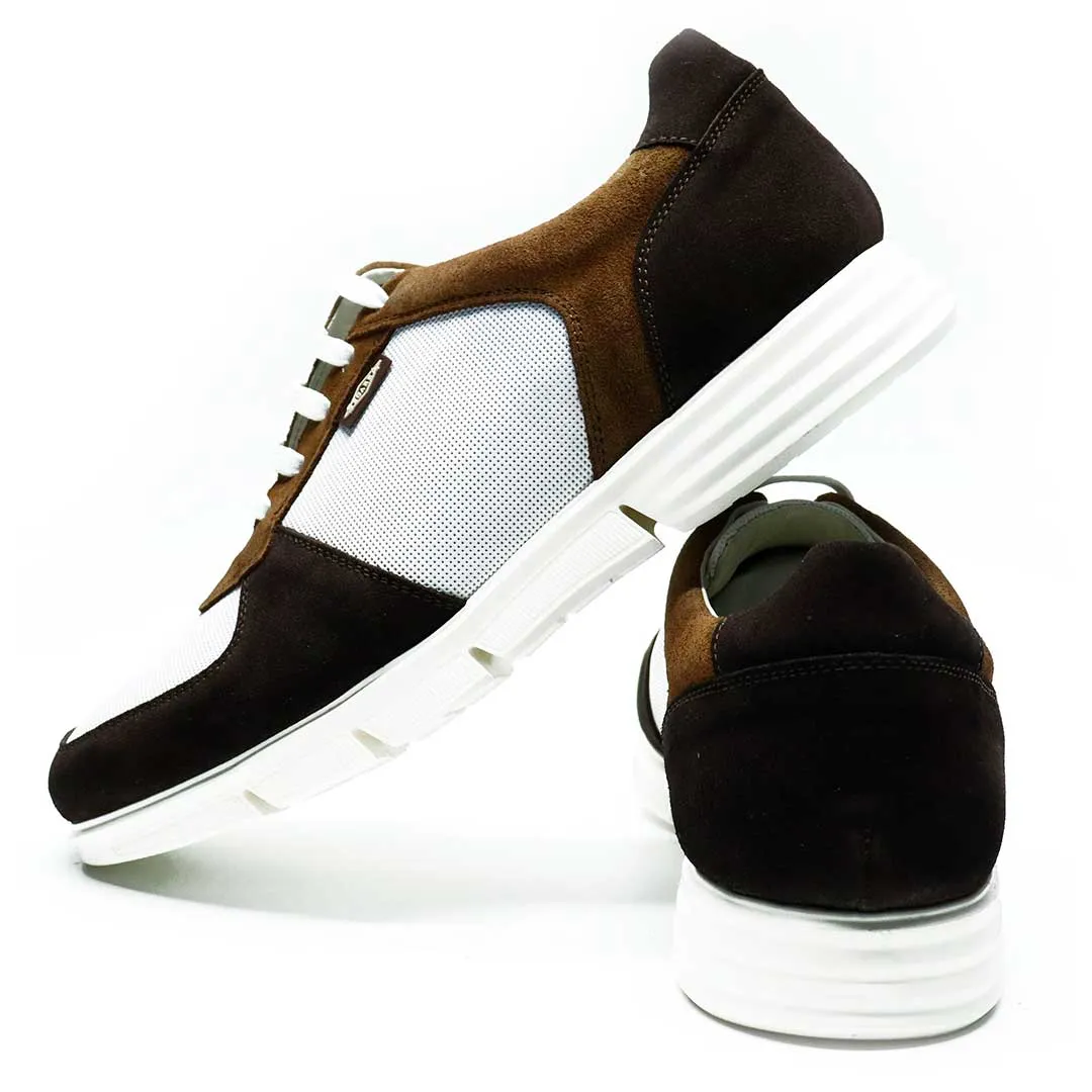 Harry Combi Testa (464)