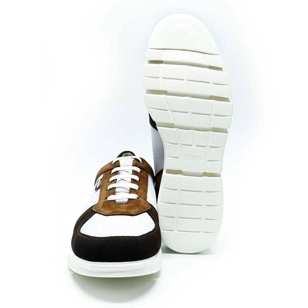 Harry Combi Testa (464)