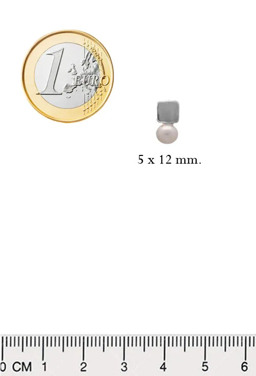 PENDIENTES DE PLATA CON PERLA 266_01372411