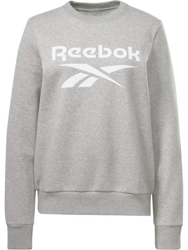 SUDADERA REEBOKREEBOK IDENTITY BIG100012588MUJERGRIS