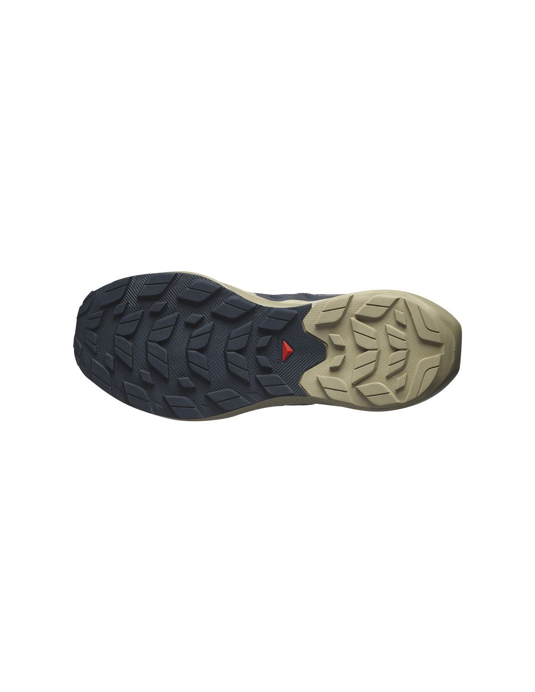 Zapatillas de Montaña Salomon Elixir Activ Carbon/Marrón Hombre