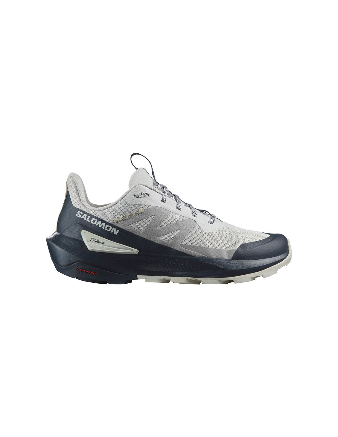 Zapatillas de Montaña Salomon Elixir Activ Gris Hombre