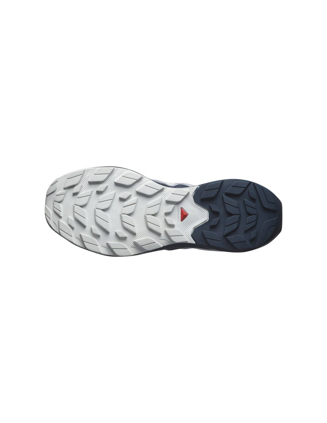 Zapatillas de Montaña Salomon Elixir Activ Gris Hombre