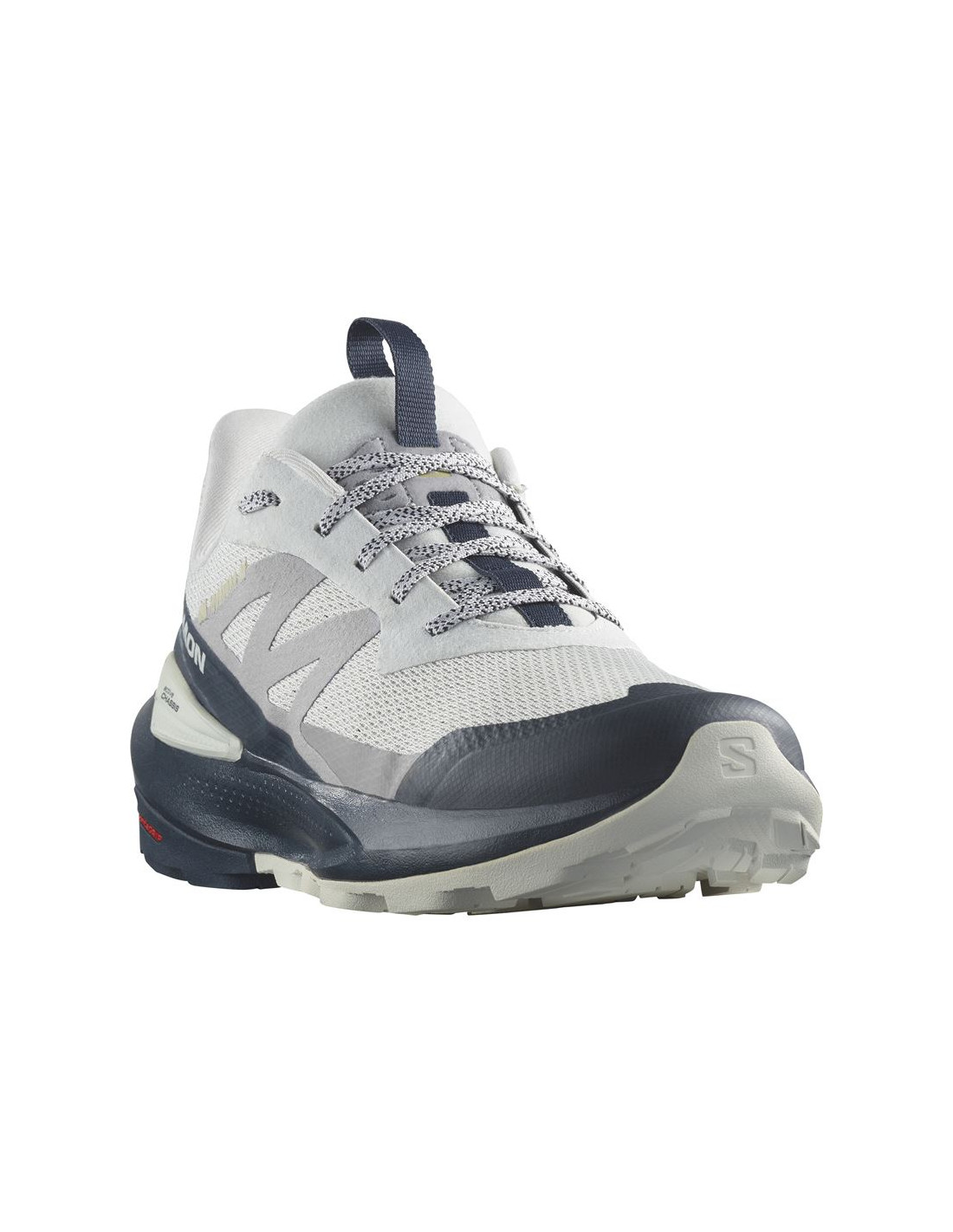 Zapatillas de Montaña Salomon Elixir Activ Gris Hombre