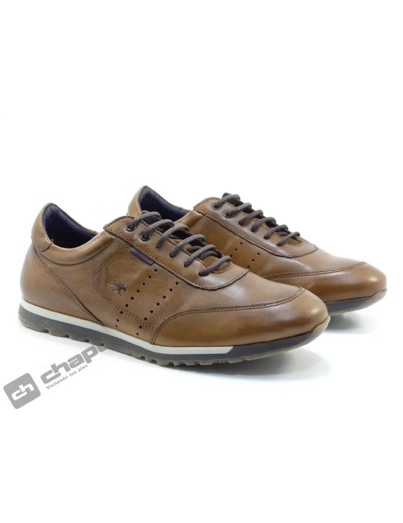 Zapatillas Deportiva Camel Fluchos F0931