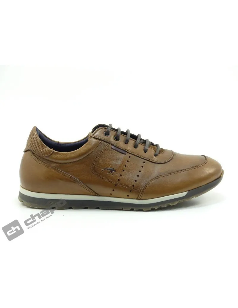 Zapatillas Deportiva Camel Fluchos F0931