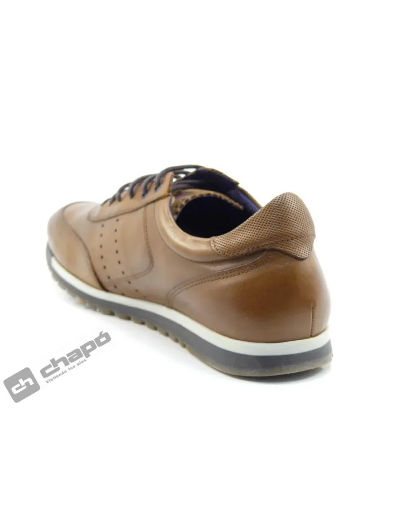 Zapatillas Deportiva Camel Fluchos F0931
