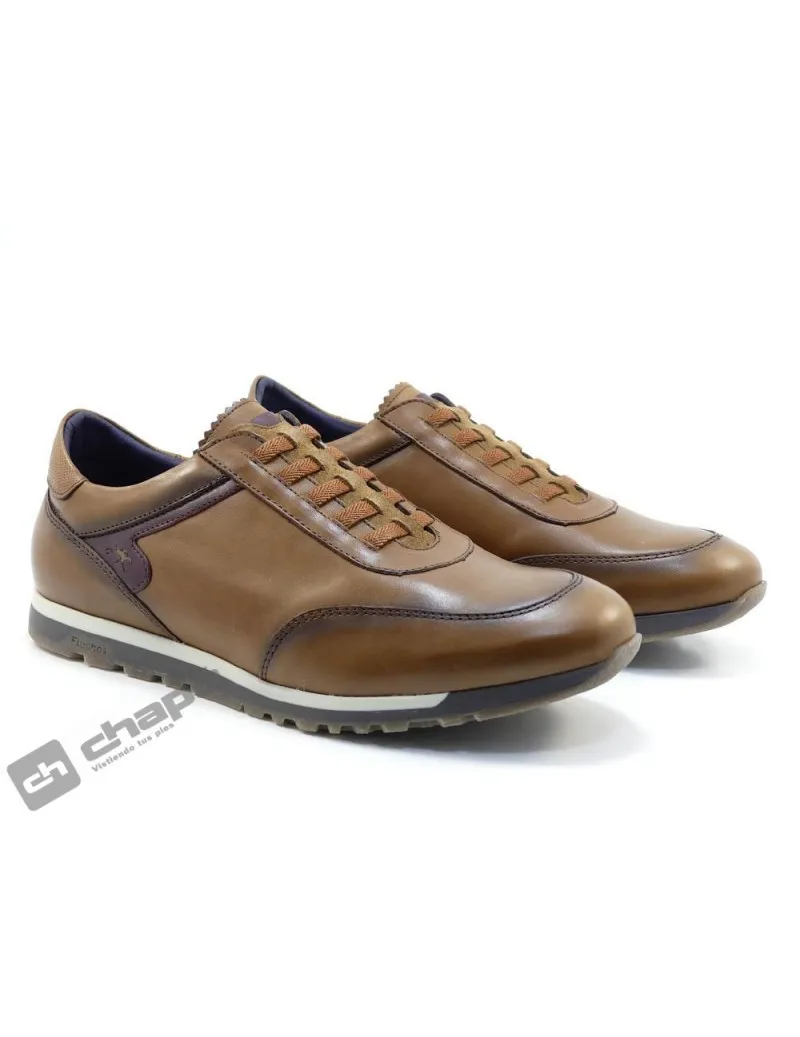 Zapatillas Deportiva Camel Fluchos F1195