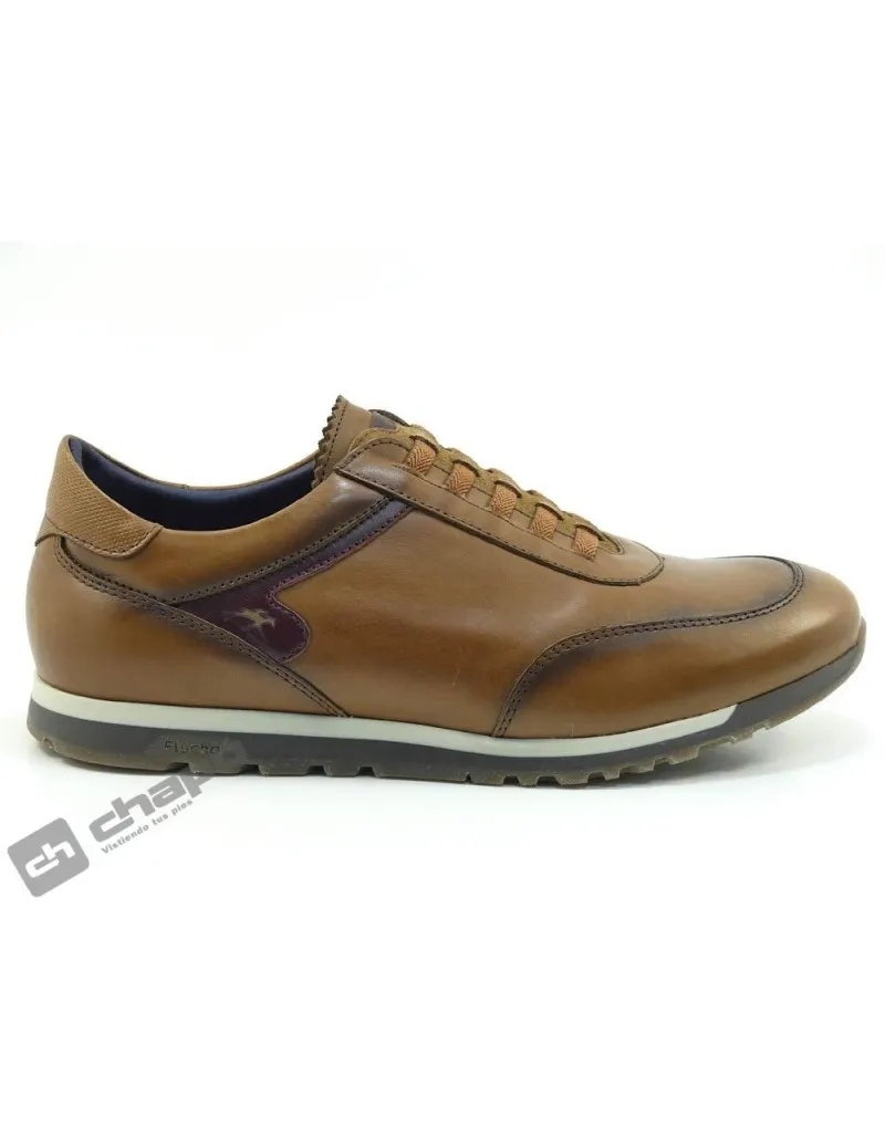 Zapatillas Deportiva Camel Fluchos F1195