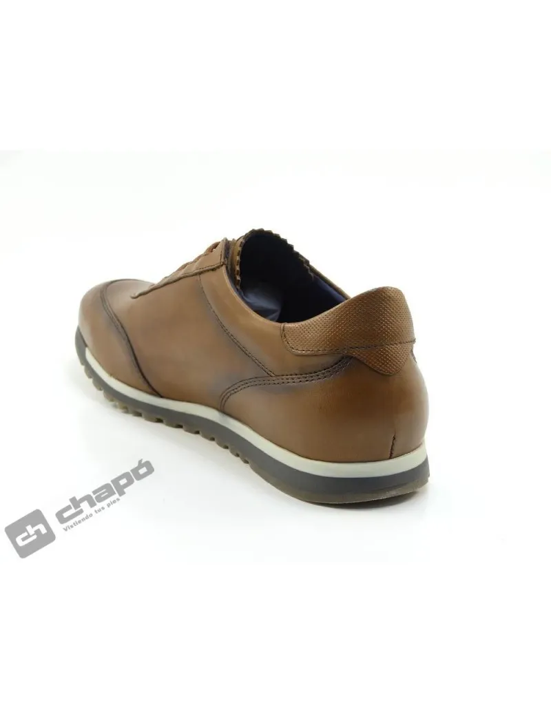 Zapatillas Deportiva Camel Fluchos F1195