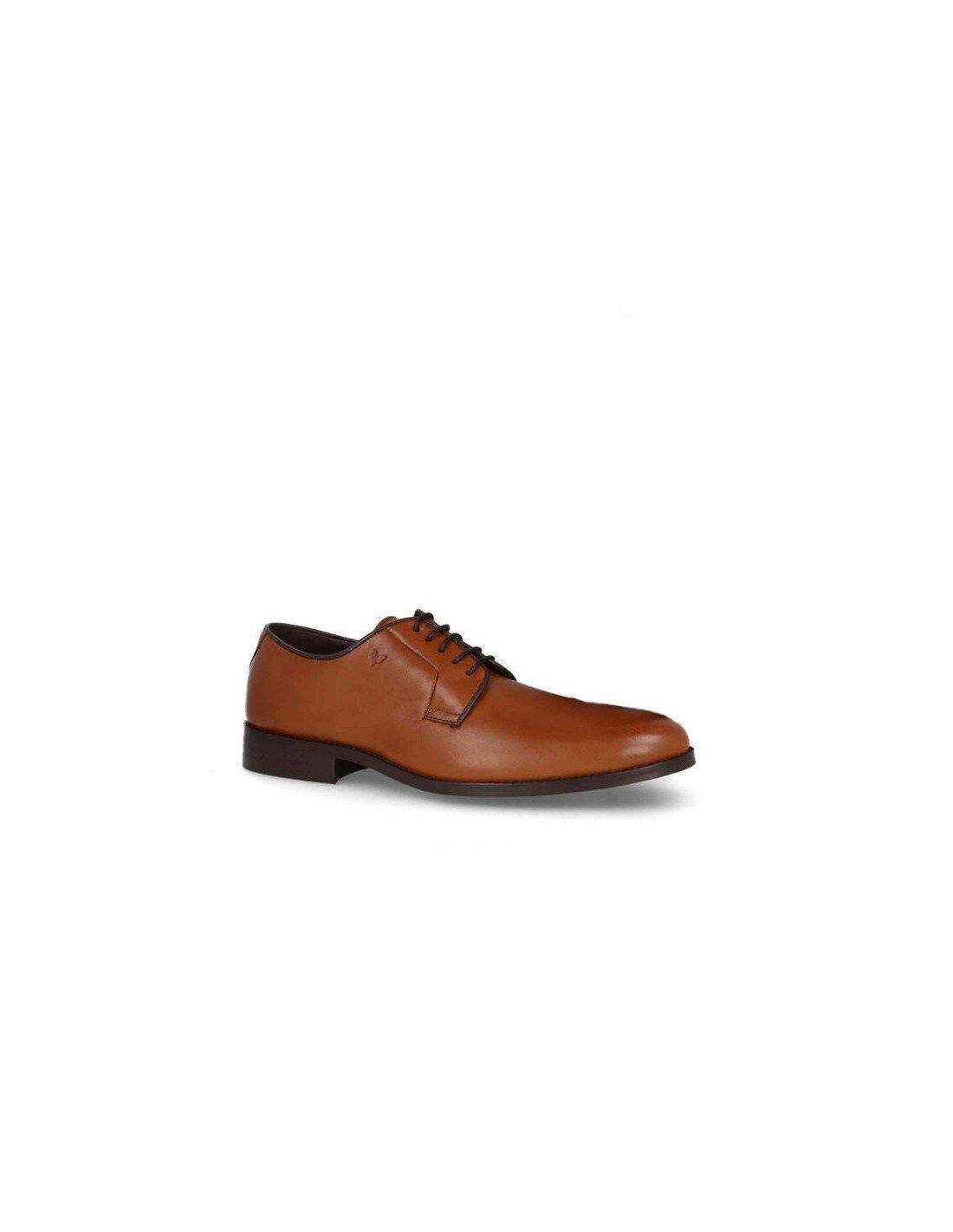Zapato Caballero Vestir Elegante